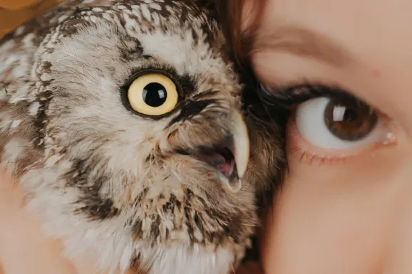 Betitall Casino Suporte